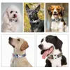 Custom Gravured Hundekragen Personalisierte Nylon -Haustierhund -Tag -Kragen gedrucktem Welpen Katze -Namensschild ID -Kragen für kleine große Hunde 240429