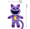 CIRCHILE SNULLE SORNIGLIO PLUSH PLUSH PLUSH NUOVO MONSTER PLUSH STILEGGI SNULLE DEMENATURE PILATO PILLATO PACCHIO DELLO