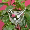 Plant Self Watering Globe Plants Water Bulbs Bird Shape Clear Glassplastic Watering Device 240429