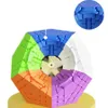 Shengshou Gigaminx Cube Sticker 5x5 Dodecahedron Puzzle Cube Velocità a 12 lati megaminx Magico cubo giocattolo per bambini Gift 240428