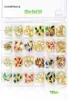 Nail Art Decorations 245 10pcs Kit en alliage LuxuryDesign Japonais Bijoux Charmes Rivet Dasiy Bowknot Diamond 3d Decors Gems Acces 3878837903