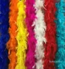 2021 Verkopen van meerdere kleuren Marabou Feather Boa voor Fancy Dress Party Burlesque Boas 6851317