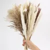 Decorative Flowers 109PCS Natural Dried Pampas Grass Bouquet Plants Wedding Floral Arrangements Table Decor Boho Home