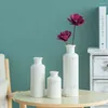 Wazony biały ceramiczny wazon Zestaw Dekorowanie domu Dekora domu na kuchenną sypialnię w biurze salon łazienka