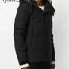 Inverno Fourst Down Down Park Homme Jassen Chaquetas Ostrewear Wolf Furta Cappucciato Manteau Wyndham Canada Giacca cappotto Hiver Doudoune Mens