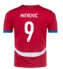 Serbia Soccer Jersey 2024 Euro Cup Srbija Equipo Nacional a casa fuera Sergej Mitrovic 2010 Retro Football Shirts Kit Vlahovic Pavlovic Tadic Milenkovic Zivkovic