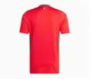 2024 25 Maillots de football du Pays de Galles Bale Wilson Allen Ramsey World National Team Cup Rodon Vokes Home Football Shirt Short Sleeve Adult Uniforms Fans Player Player Version