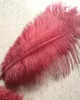 100pcslot 1618inch burgundy Ostrich Feather plume wine color for wedding centerpiece decor event party supplies de6358082