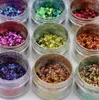 12PCSSet kameleon chroom glitter vlokken nagel kunst spiegel poeder holo pigment oogschaduw nagel glanzende pailletten nail art decoraties 240426