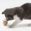 2pcs Cat Toy Pet Pet Rattan Cat Toy Toy Faux Faux Feath