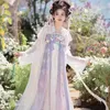 Ethnische Kleidung Hanfu Frauen Chinesisches traditionelles Cosplay -Fairy Kostüm Alte Tang Dynastie Hanfu Kleid rosa Sommertanzkleid Plus Größe