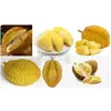 Brotte de l'ouvreur du durian Rustproofing Fresties Durable Manuel Durian Shelling Machine pour le camping Fruits domestiques Boutique Ustensiles de cuisine