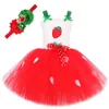 Nettes Erdbeer -Tutu -Kleid für Baby Girls Weihnachten Halloween Kostüme für Kinder Geburtstagsfeier Outfit Kinderkuchen Smash Clothes 240429