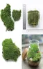 Dekoracja przyjęcia domowego sztuczna zielona trawa mchu ozdoby roślinne miniaturowe sztuczne rośliny C190413022103583