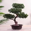 Dekoracyjne kwiaty realistyczne rośliny doniczkowe Dodaj naturę do przestrzeni mieszkalnej Indoor lub na zewnątrz sztuczne drzewo bonsai