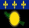 France Drapeau non officiel de Guadeloup Local 3ft x 5ft Banner en polyester volant 150 90cm Flag personnalisé Outdoor7060211