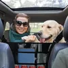 Worki do przechowywania fotelika samochodowe torba organizatorowa Backseat Oxford Cloth Universal Interior Accessories Dog