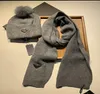 21Classic suit hat scarf warm super comfortable fashion men and women general anticounterfeiting label hanging card complete Many8116740