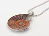 Collier de fossiles d'ammonite Collier de tourbillon Ammonite Snail Snail Amonite Bijoux Fossiles Bohemian15839051