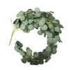 Декоративные цветы искусственные растения эвкалипт гирлянда шелковая пластиковая фальшивая зелень