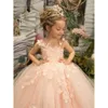 Lace Dree Pink Prince Gorgeou Een lijn pure nek 3d vlinderbloem Long Girl Pageant Jurk Kid Toddler Communion Birthday Dre BC14582 S