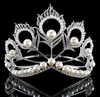 New Arrival Big Size 2017 Miss Universe Same Crown Full Round Adjustable Silver Pearl Peakcock Feather Tiara Pageant 2102039502210