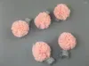 Accessoires de cheveux boutique 10pcs mode mignon tulle pom épingles à cheveux solides rose rose clips de casseur princesse pour filles