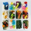 Dekorativa blommor randon mönster epoxy bild ram handmålad prydnadsblomma prov evigt torkad doftande doftande