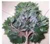 Planta de plástico Green Artificial Banyan Hojas Ficus Ramas Grass Decoración del hogar Rama púrpura 12 PCS8142776