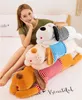 Nouveau chien Doll Puppy chiot chien en peluche Toy Grab Machine Doll Scissor Machine Machine Pollow Throw Wholesale