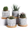 4In Set 295Inch Cement Succulent Planter PotsCactus Plant Pot Indoor Small Concrete Herb Window Box Container With Bamboo Y200727764475