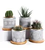 Set 4in 295 pouces de ciment succulent jardinière Potscactus Pot Pot Indoor Small Concrete Herb Boîte Herb Box Continier avec bambou Y200727764475