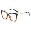 Zonnebrillen Frames Damesmode Blue Light Glazen 2024 Katten Eye Designer Ladies Flexibele optische bril frame UV400