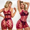 Set lingerie womens exotic fishnet robe set pornstar porn bh mail Q2404292