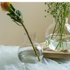 Vasos Decoração transparente de vaso de vidro