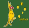 Boîte Kangaroo Flag 3ft x 5ft Polyester Banner Flying 150 90cm Flag personnalisé Outdoor5755692