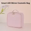 Kosmetiktaschen Smart LED Make -up -Hülle Reiseausflug tragbare professionelle Tattoo -Werkzeugtasche für Frauen