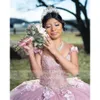 Quinceanera Ball Gown Pink Princess Dress