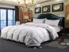 Duck Down Duvet Comforter 200230 Queen King Feather Quilts for Winter 220240 Comforters setss9118183