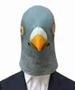 Creepy Pigeon Head Mask 3d Latex Prop Animal Cosplay Costume fête Halloween 9093280