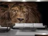 Fonds d'écran DÉCOR HOME 3D Fond d'écran HD Mighty Wild Animal Lion Salon chambre fond de chambre Décoration murale Mural Wallpa Hairbun25573053