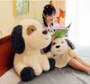 큰 귀, 만화 인형, 강아지 장식, 귀엽고 치유 만화 베개 인형이있는 귀여운 발견 된 개 인형