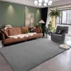 Tapijten groot formaat woonkamer vloerkamer zacht en huidvriendelijke slaapkamer tapijt grijs bedvloermat niet -slip babyspel decoratie huis