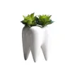 Tandvorm desktop keramische sappige planten pot modern ontwerp mini plantenpotten bloem vaasdecor c190419011427057