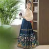 Etnische kleding origineel verbeterde ming dynastie oude traditionele dagelijkse slijtage Chinese paardengezicht rok moderne ma mian rok hanfu