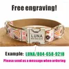 Dog Collars Personalized Pet Collar Customized Nameplate ID Tag Adjustable Brown Ethnic Suit National Plaid Cat Lead Leash