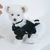 Hundebekleidung Frühling Sommer Samtkleid Spitzenausschnitt Schleife Prinzessin Hochzeit Tutu Rock für Teddy Chihuahua Welpenkleidung