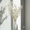 Couronnes de fleurs décoratives 50g séchées pour toujours préservées Ruscus bricolage décoration florale bouquet de fleurs gypsophiles sèches pour la maison Weddi2819