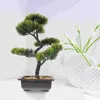 Decoratieve bloemen Kunstplant Bonsai Gesimuleerd Gastvrij Grenen Ingemaakte Ornamenten Planten Voor Huisdecoratie Binnen