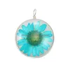 Charms Mode Colorf Fleur Séchée Petite Daisy Charme Pour La Fabrication De Bijoux À La Main Pendentif En Verre Fit Collier DIY Enfants Drop Livraison Juif Dhb1Z